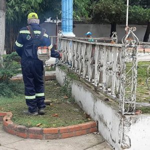 Poda de Zonas Verdes Cabecera