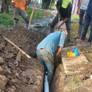 JUNIO 2024: SEGUIMOS TRABAJANDO INCANSABLEMENTE